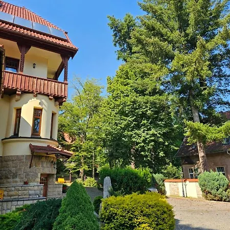 Alexandra Nocleg ze śniadaniem